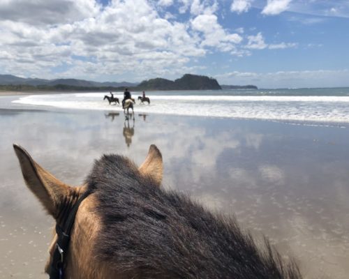 hotel-samara-costa-rica-beach-horse-03